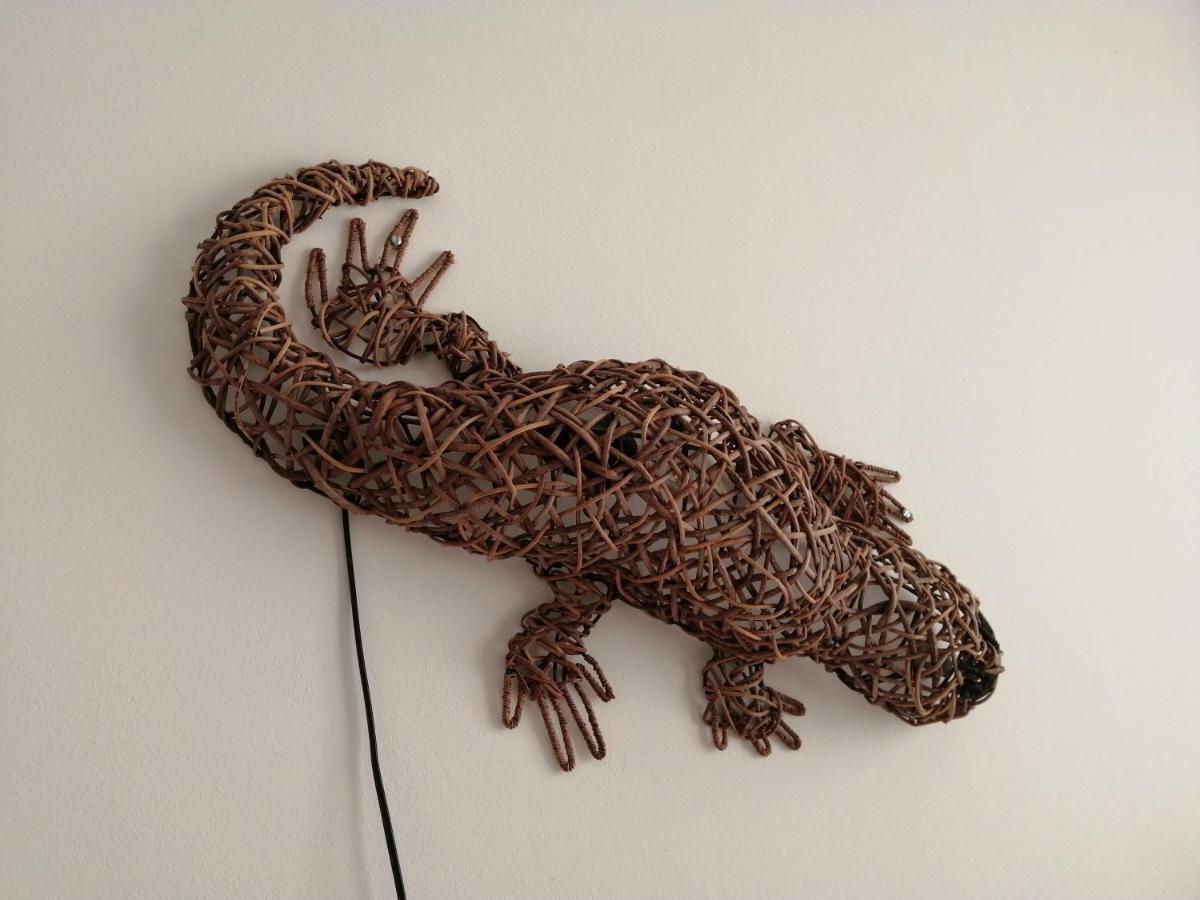 Dom wakacyjny Gecko, Arillas Kavvadades